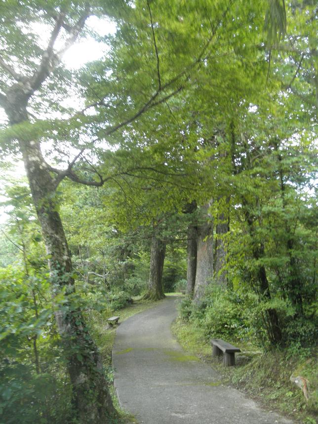 f0101679_22373822.jpg
