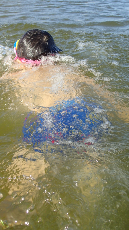 e0024081_20332430.jpg