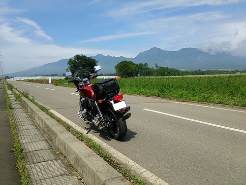 d0147789_171165.jpg