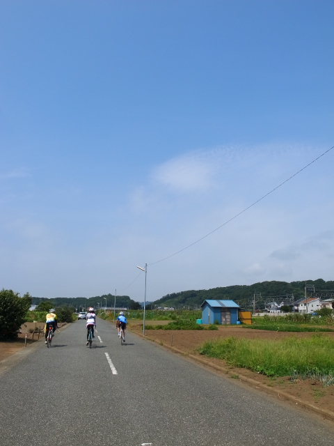 d0081997_09085906.jpg