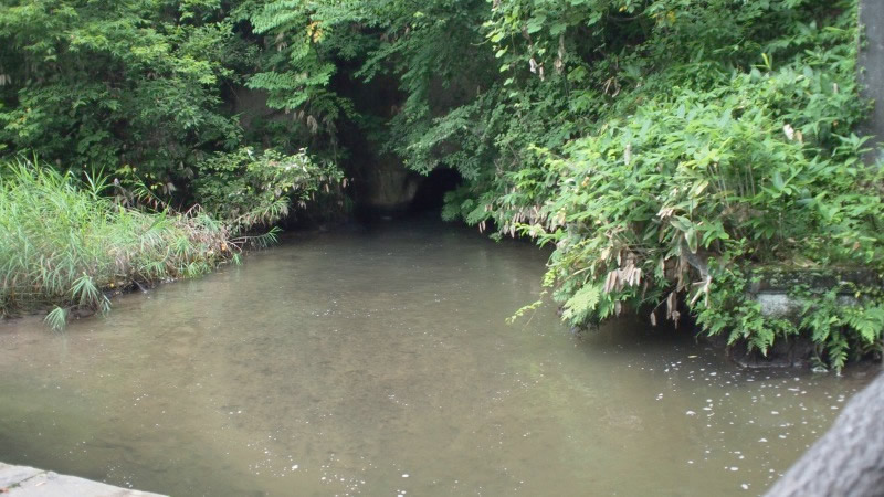 e0124597_23165509.jpg