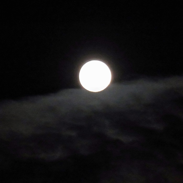 c0049299_19563111.jpg