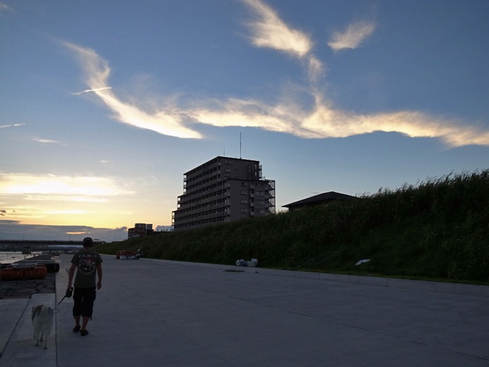 c0049299_19564329.jpg