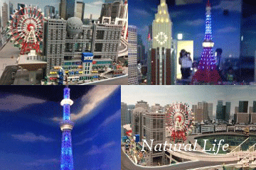b0162000_06400243.gif