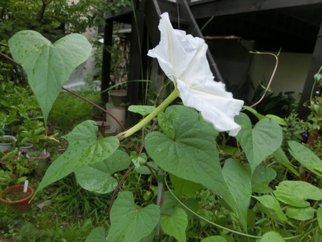 a0203003_19553064.jpg