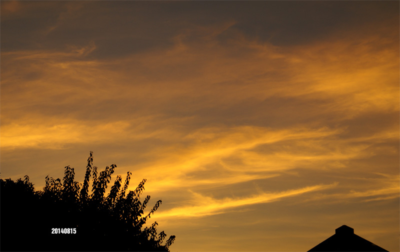 c0147123_5334930.jpg