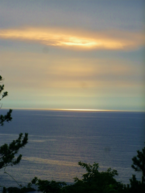 f0188324_1533768.jpg
