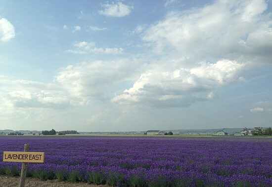 f0037227_22545088.jpg
