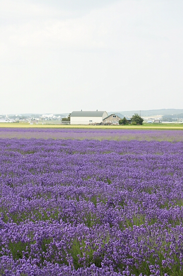 f0037227_2257979.jpg