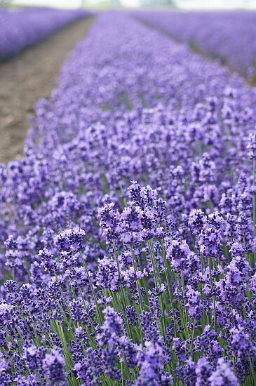 f0037227_2258263.jpg