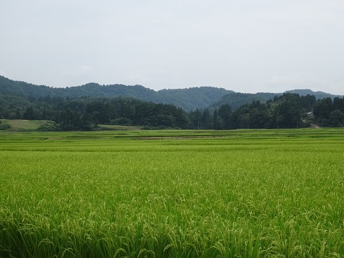 a0024829_17192061.jpg
