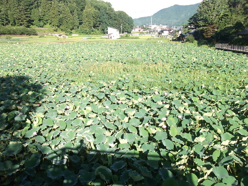 f0304030_811760.jpg