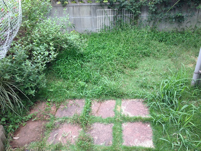 e0125131_20542276.jpg