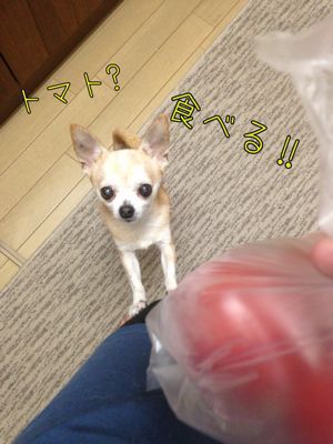 c0298732_1347931.jpg