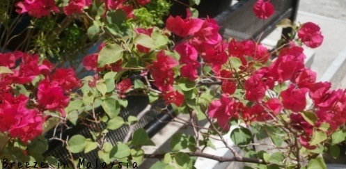 f0339434_18020274.jpg