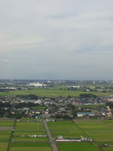 a0134136_20261376.jpg