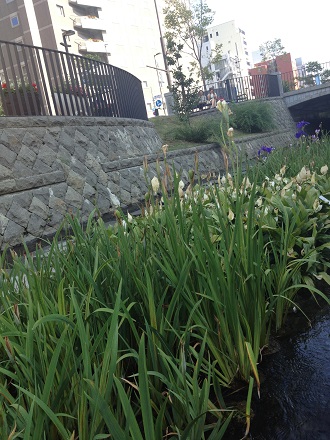 c0234938_01101703.jpg