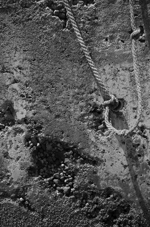 d0165741_16574211.jpg