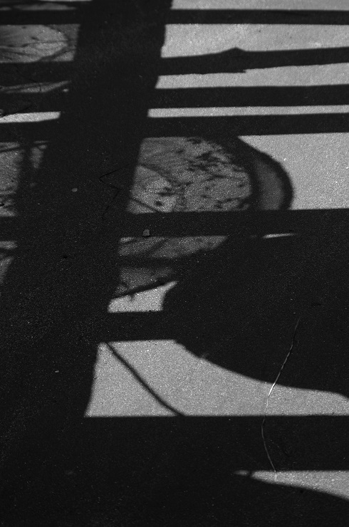 d0165741_16582293.jpg