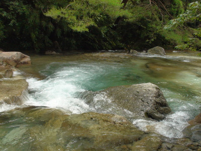a0259943_1454527.jpg