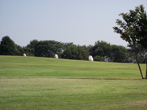 e0248844_10020761.jpg