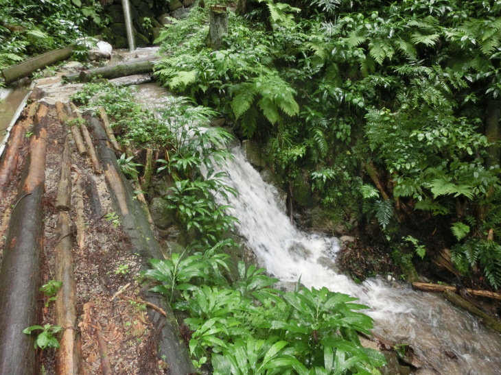 b0132746_23151370.jpg