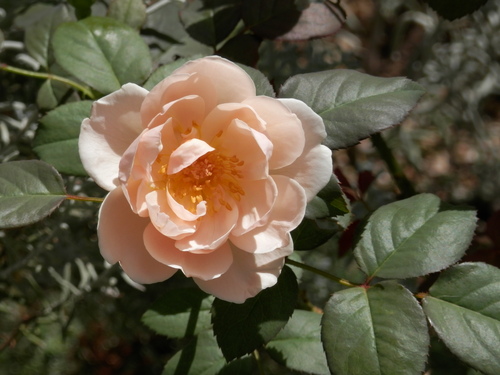 e0288951_18155067.jpg