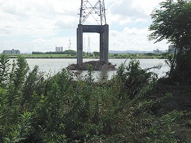 b0177760_15172074.jpg