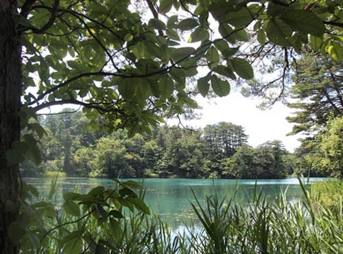 c0011862_10145159.jpg