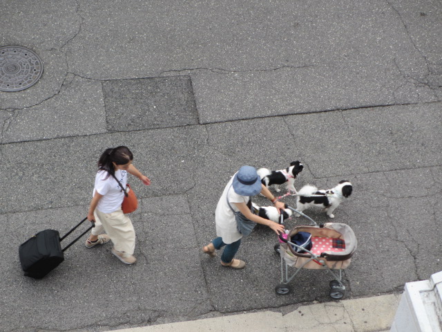 f0253568_14310273.jpg