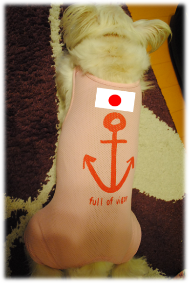 b0242873_22212205.png