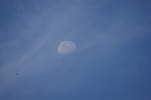 f0054677_745331.jpg