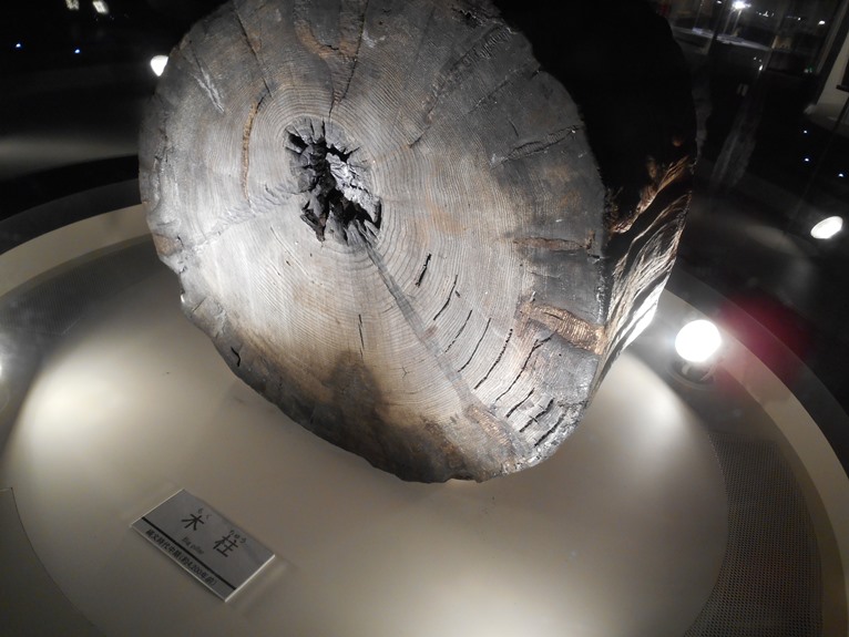 c0198781_17345580.jpg