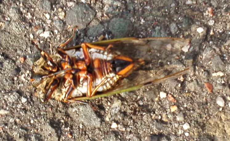 b0307692_12464027.jpg
