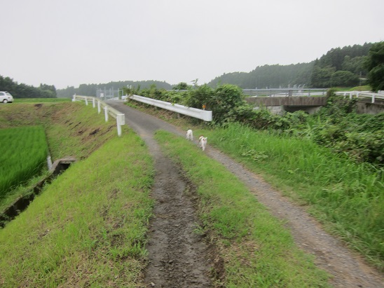 f0106692_18263595.jpg