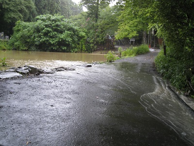 d0090001_23154048.jpg