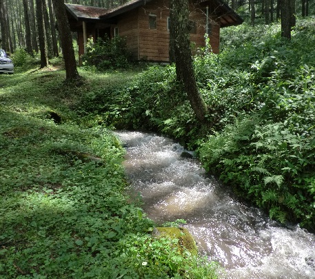 d0299604_10122579.jpg