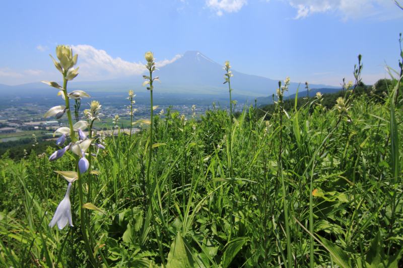 a0188405_22595458.jpg