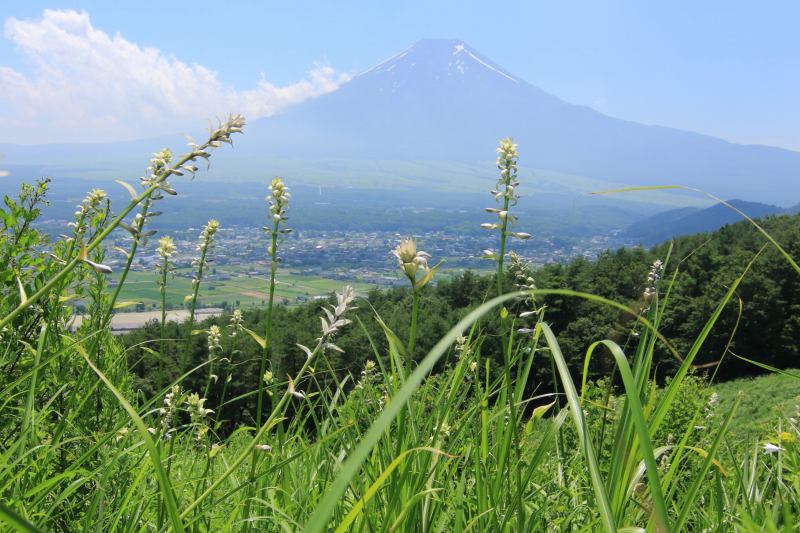 a0188405_23012599.jpg