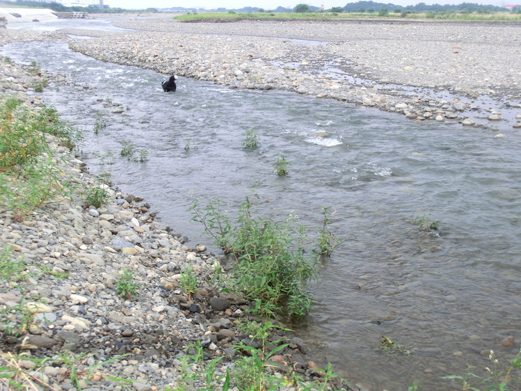b0239909_1942325.jpg