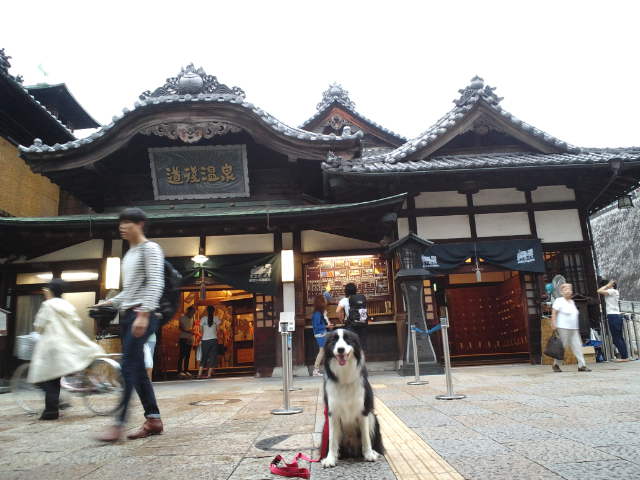 d0224111_8111521.jpg