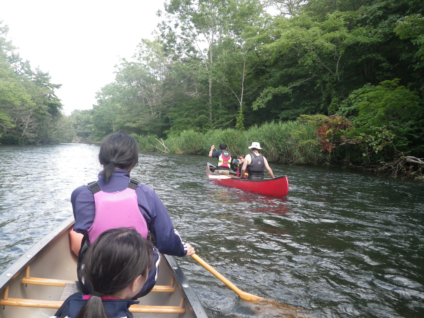 c0046416_8282630.jpg