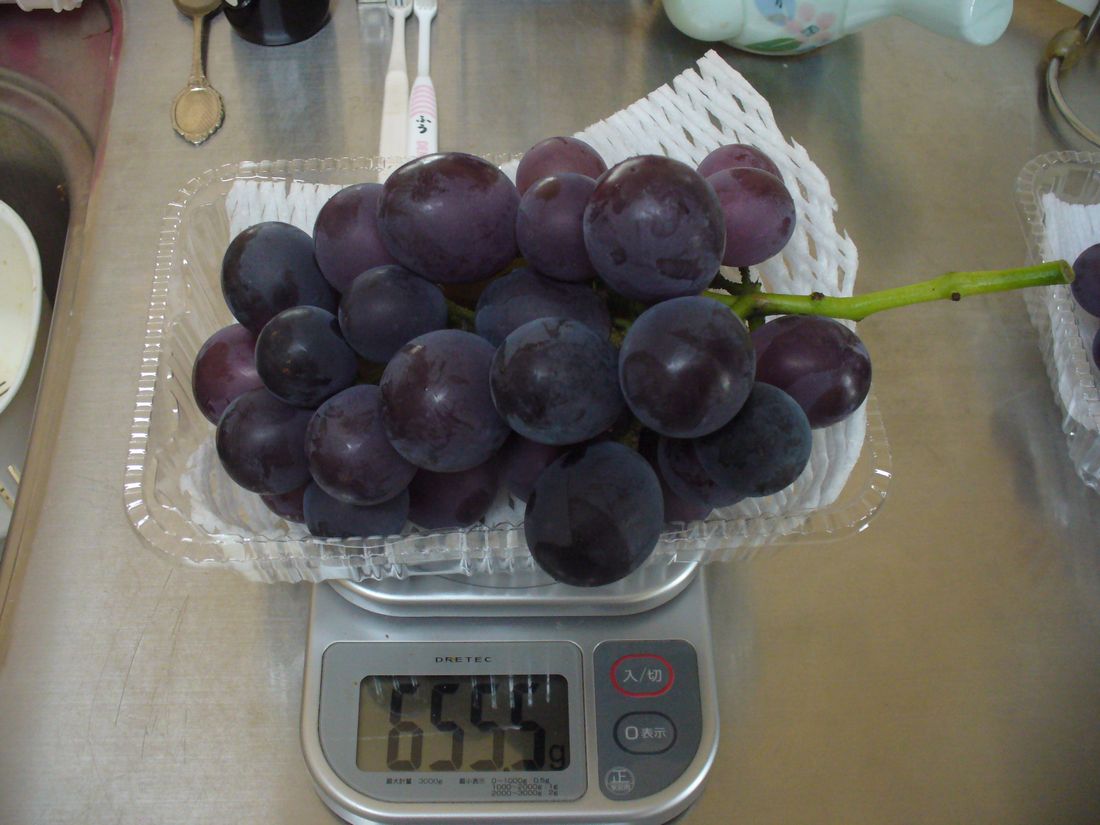 f0346527_21145825.jpg