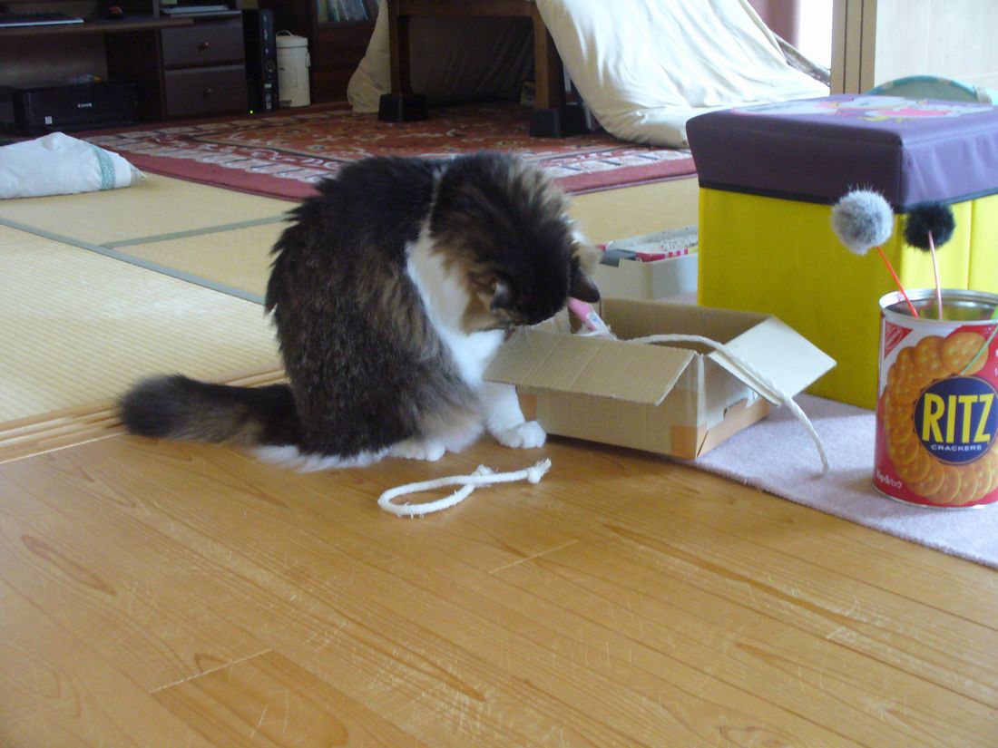 f0346527_21273171.jpg