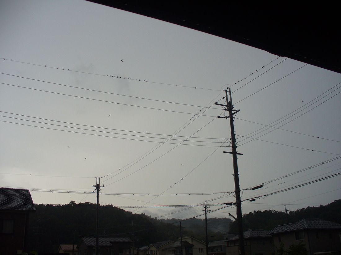 f0346527_215650.jpg