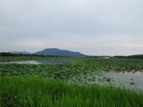 a0024829_18553748.jpg