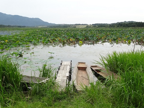 a0024829_18584288.jpg