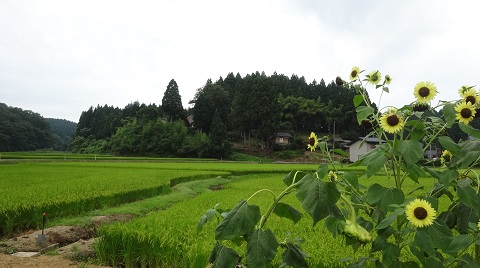 a0024829_18594798.jpg