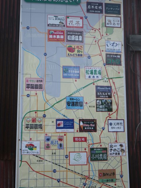 e0026331_1635867.jpg