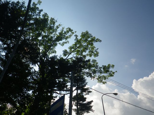 e0026331_165487.jpg